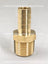 Espiga de manguera de latón MPT de 1/4" x 1/2"
