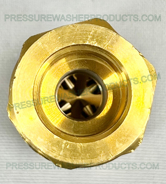 1/2" FPT Check Valve 5800 PSI 194 Degree